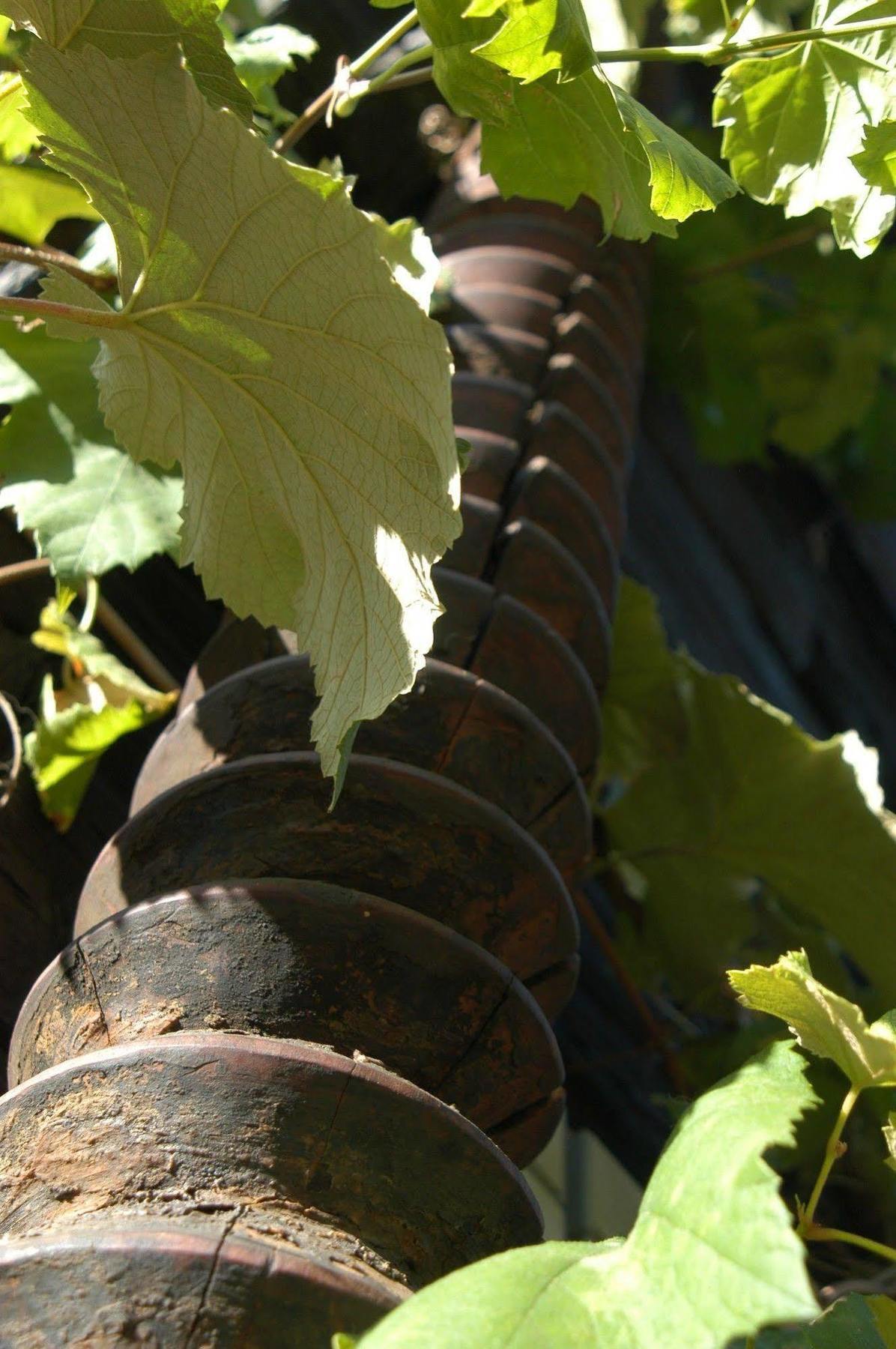Weingut Primus Südsteiermark Spielfeld Exterior foto