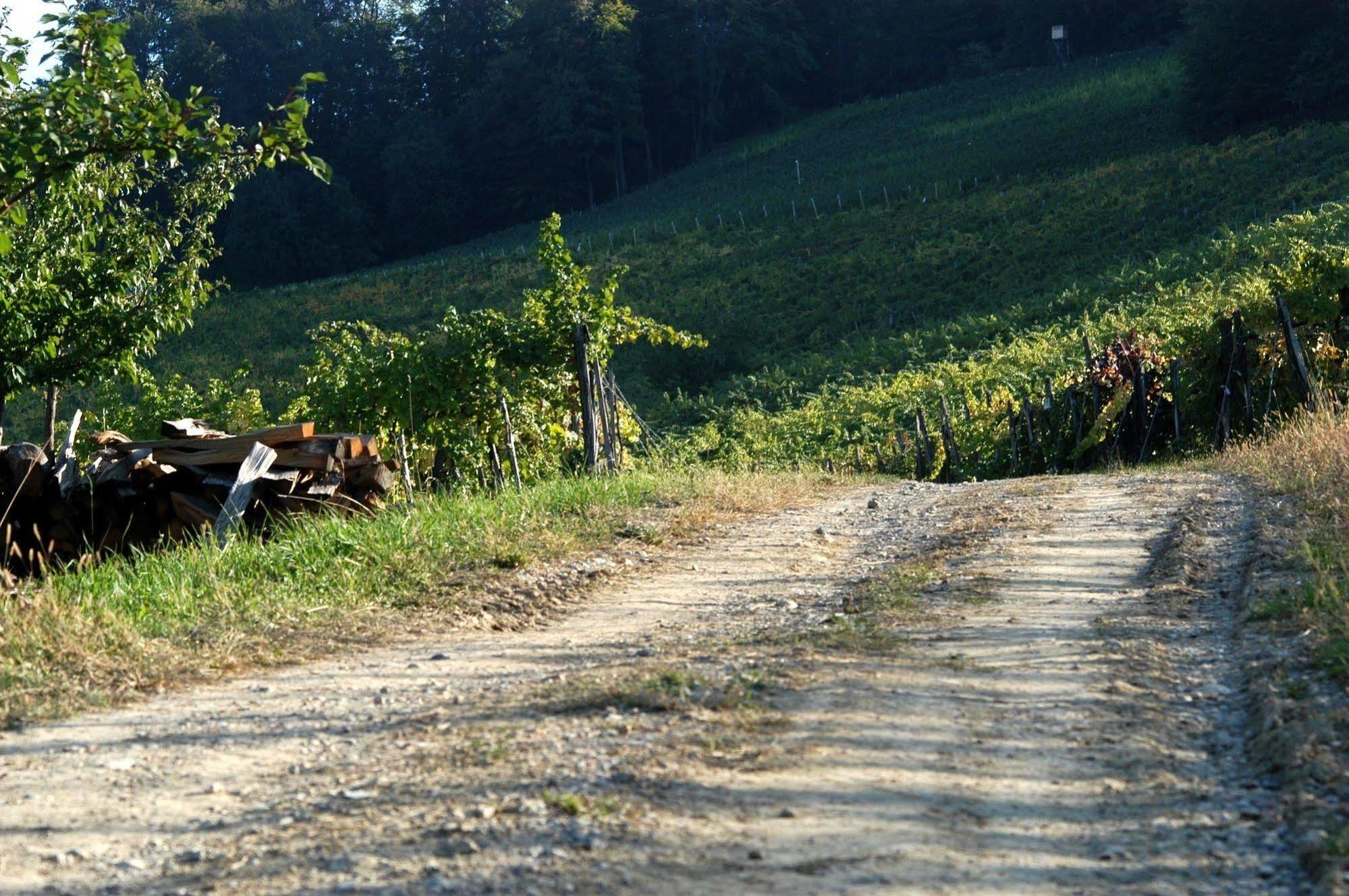 Weingut Primus Südsteiermark Spielfeld Exterior foto