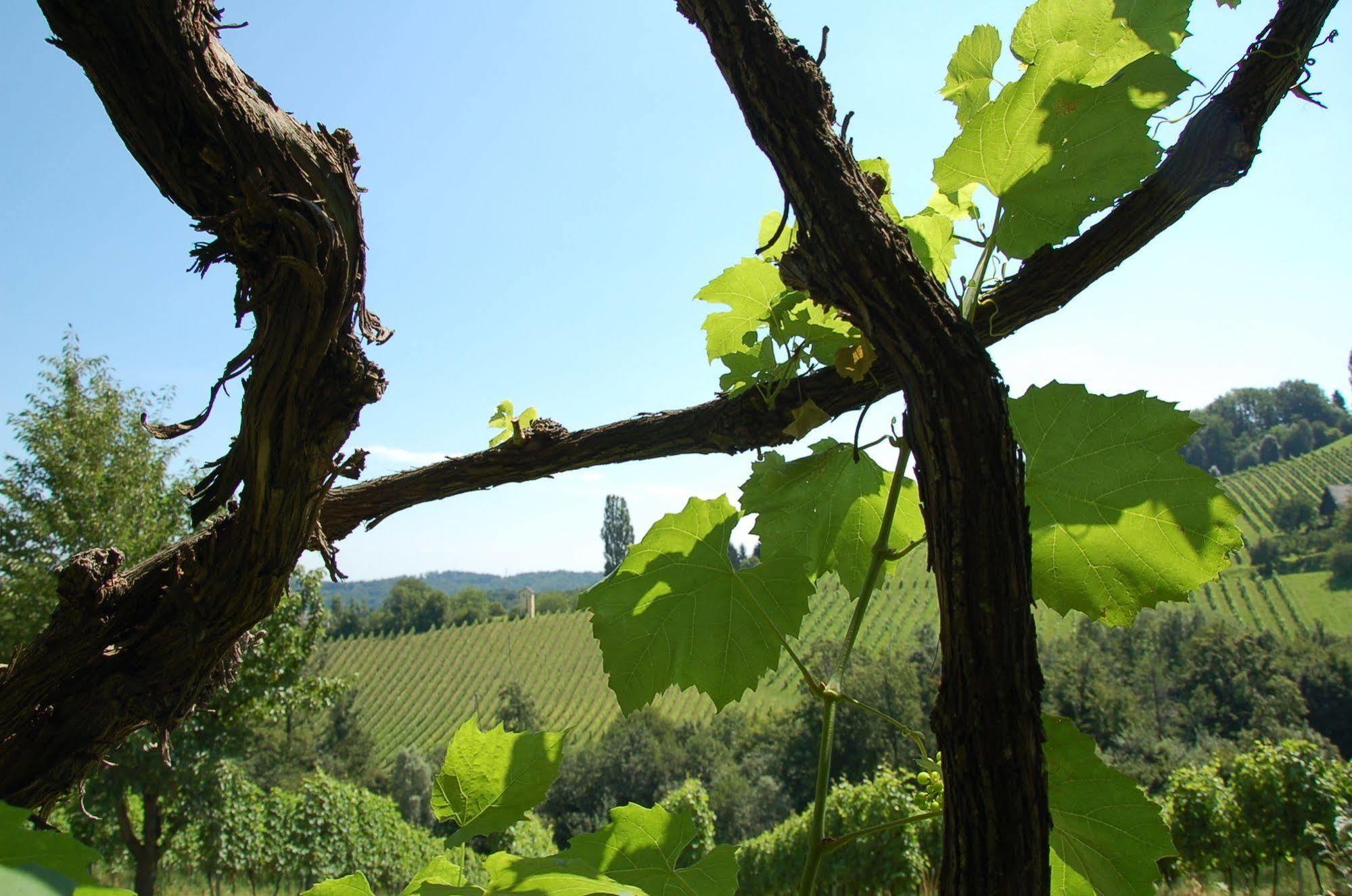 Weingut Primus Südsteiermark Spielfeld Exterior foto