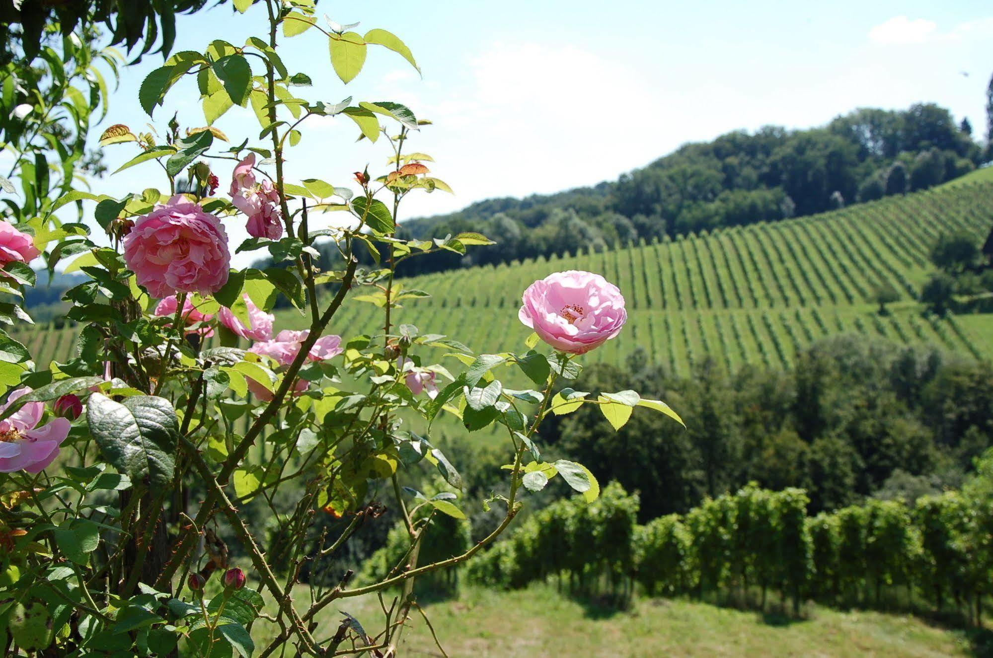 Weingut Primus Südsteiermark Spielfeld Exterior foto